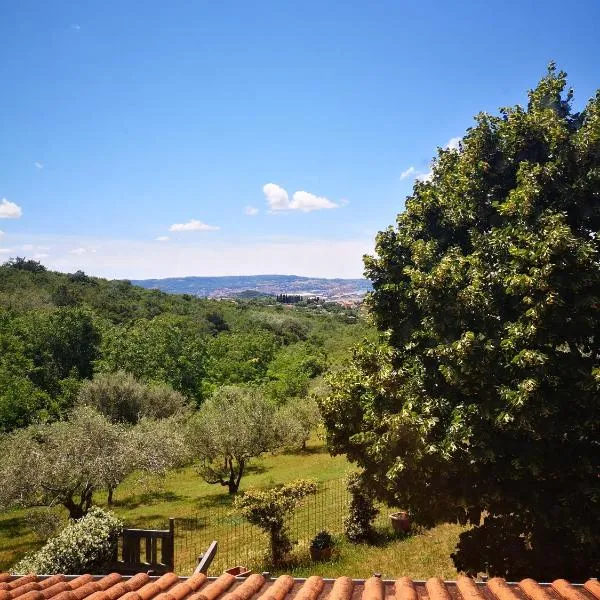 Apartma Rok, hotel v destinaci Plavje