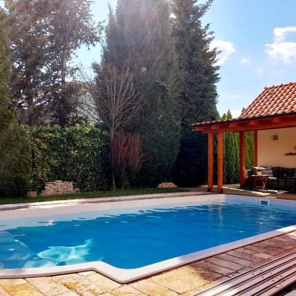 Canadian style house with 3D effect pool, ξενοδοχείο σε Vinosady