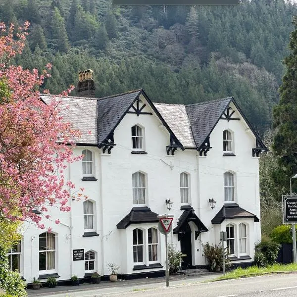 The Buckley Arms, hotel v destinaci Dinas Mawddwy