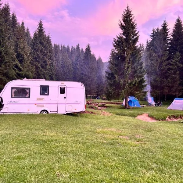 Apusenia Caravan Escape Padiș - Glăvoi, отель в городе Pietroasa