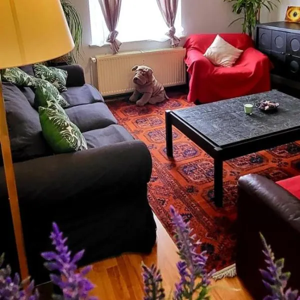 Bright studio close to Zaventem airport, hotel in Brussels