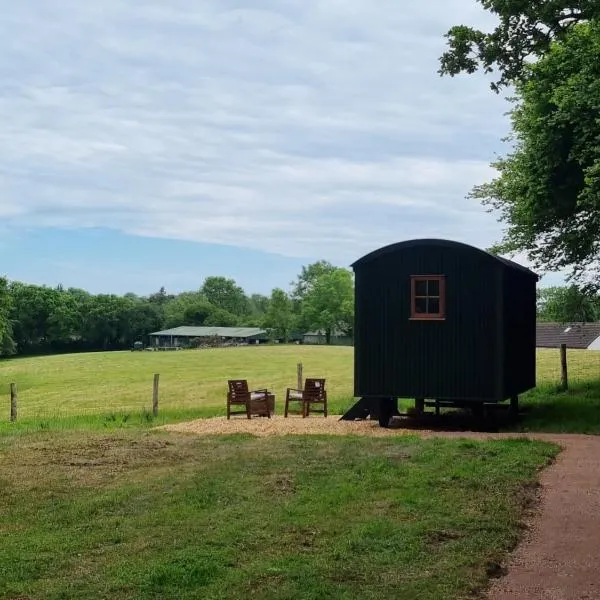 Shepherds Hut at Cummins Farm, Lyme Regis, hotel in Bridport