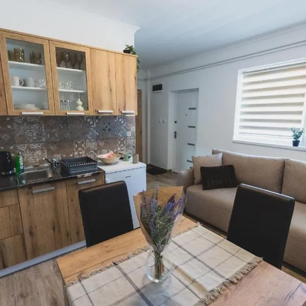 ALFA Apartmani, Hotel in Subotica