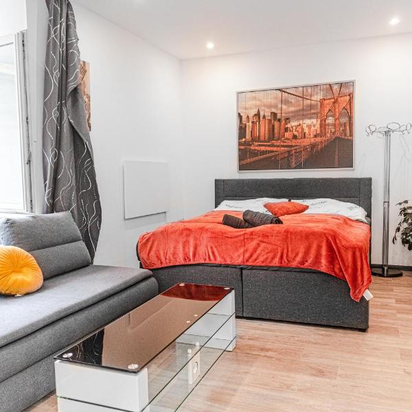 Central King Studio 10 mins walk from Downtown, Вена