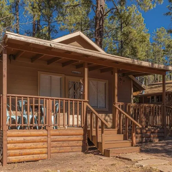 Hideaway forest cabin 9 Squirrels Den, hotel v destinaci Payson