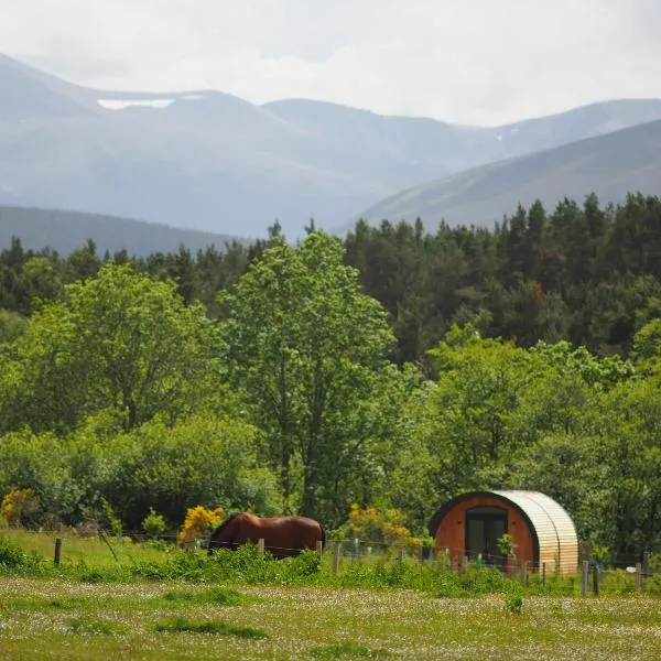 Ptarmigan, ξενοδοχείο σε Nethy Bridge