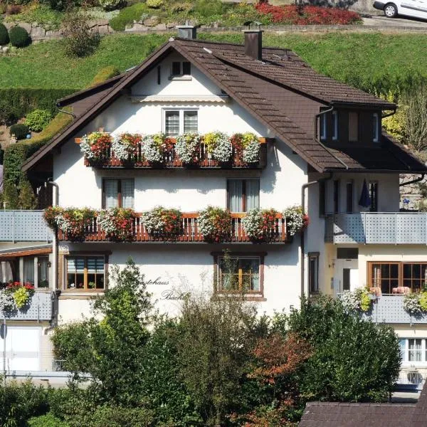 Gästehaus und Ferienwohnung Bächle, Hotel in Bad Peterstal-Griesbach