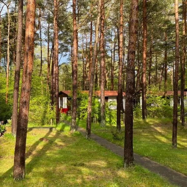 Bungalow im Kiefernwald direkt an der Ostsee (b), hotell sihtkohas Ostseebad Karlshagen