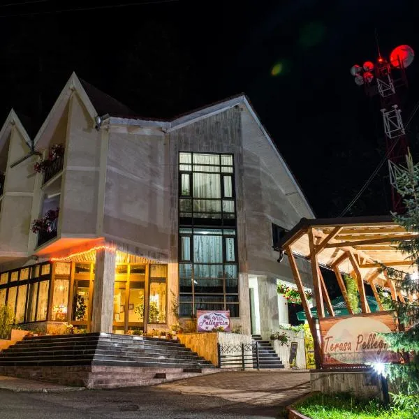 Vila Pellegrin, hotel en Durau