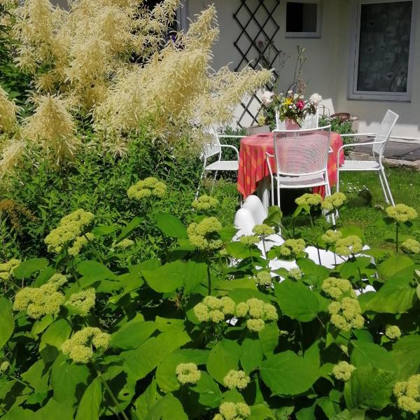 Secret garden house in the center of Sigulda