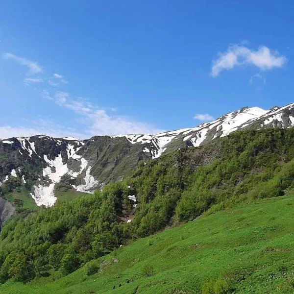 XOSTEL GOCHA, hotel in Mestia