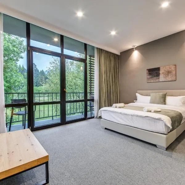 Mountain Resort Gantiadi, hotel in Borjomi