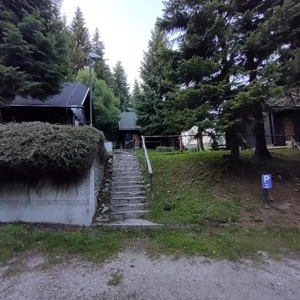 Brunarica 6A - Pohorje - Trije Kralji - Hiking & Mountain biking, hotel in Oplotnica