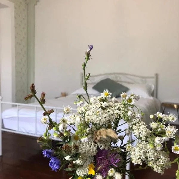 Texas House, hotel em Novaci-Străini