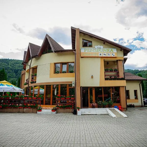 Pensiunea Floare de Colţ, hotel v destinaci Dragoslavele