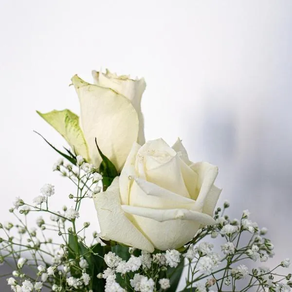 biRose B&B Affittacamere, hotel v destinaci Otranto