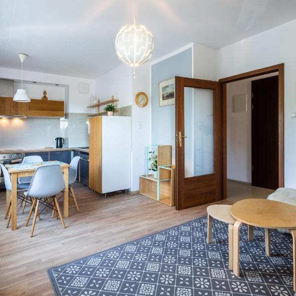 Apartament Scandi