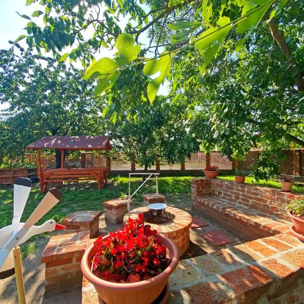 Vizililiom Vendégház, Hotel in Tiszafüred