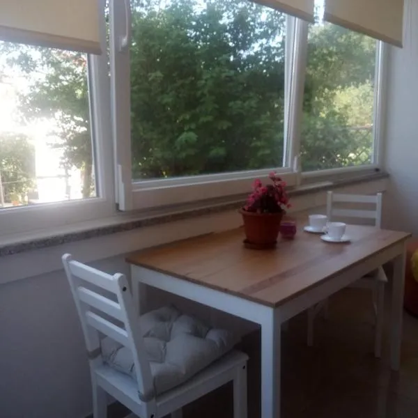Dragica, hotel i Palit