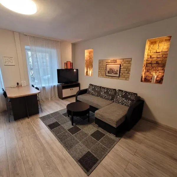 Apartment on Kudirkos 20, hotel in Vilnius