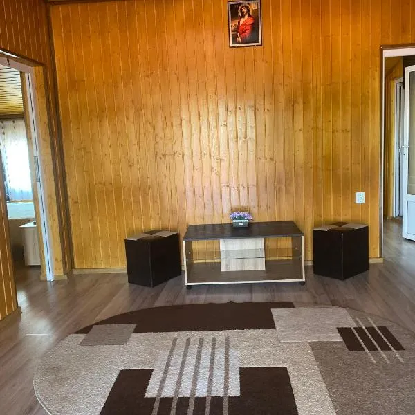 Casa Blendea Daniela, hotel in Cîrţişoara