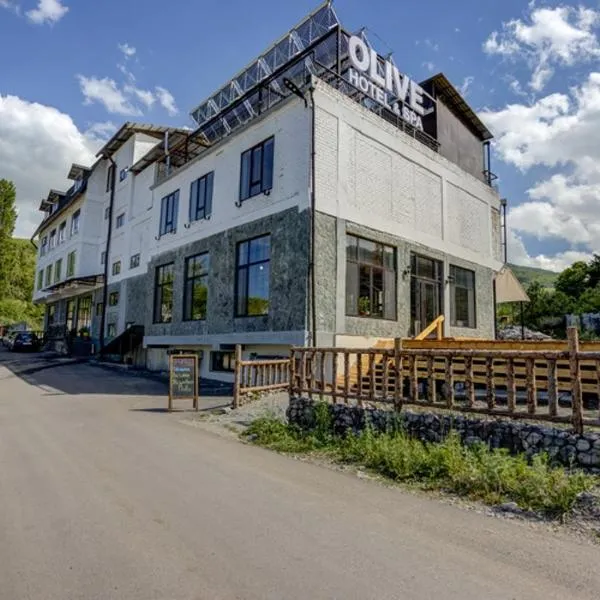 Olive Ala-Archa Hotel & SPA, Hotel in Verkhnyaya Alaarcha