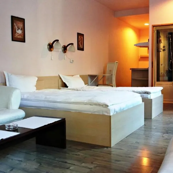 Lucas 10 Apartments, готель у Клуж-Напоці