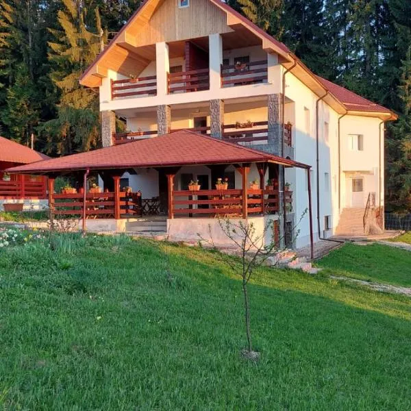 Pensiunea Mădălina, ξενοδοχείο σε Durau