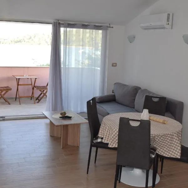 Apartmani Jelenić，位于泽德瑞拉克的酒店