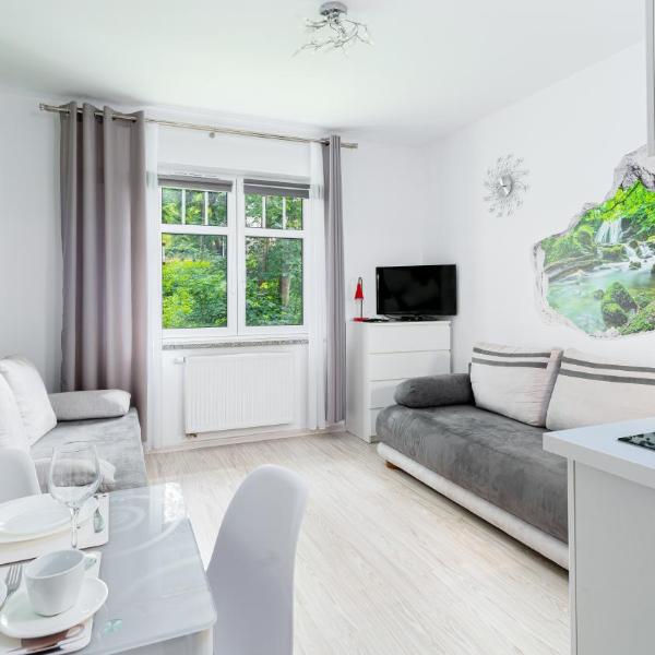 Apartamenty Sun & Snow Karpacz Sucha