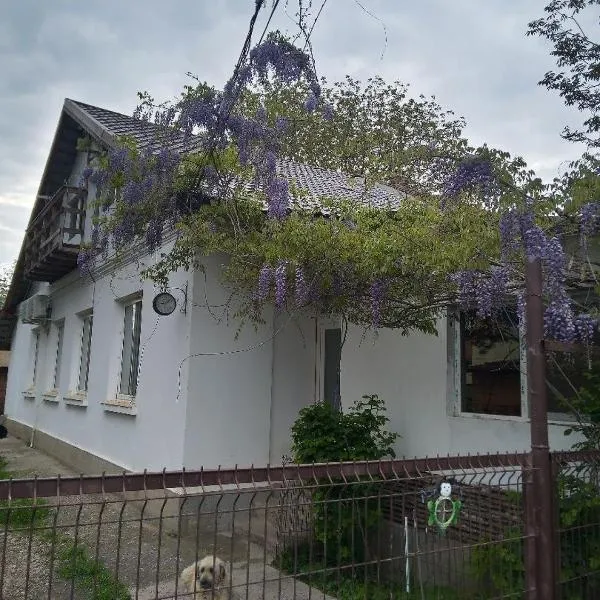 Casa Mocanu、Giurgiuのホテル