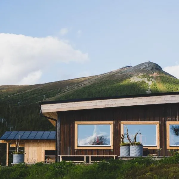 Lofsdalens Fjällhotell & Hotellbyns Lägenheter, hotel a Lofsdalen