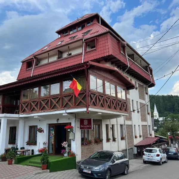 Hotel Belvedere, hotel in Vatra Dornei