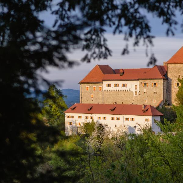 Rooms & Apartments Podsreda Castle