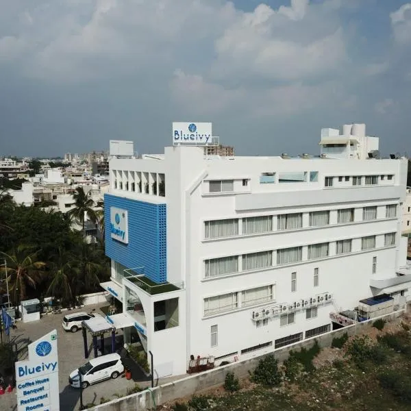 Hotel Blueivy Anand, hotel i Anand