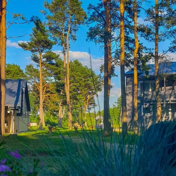 Guest House Saulgriezes、ニーツァのホテル