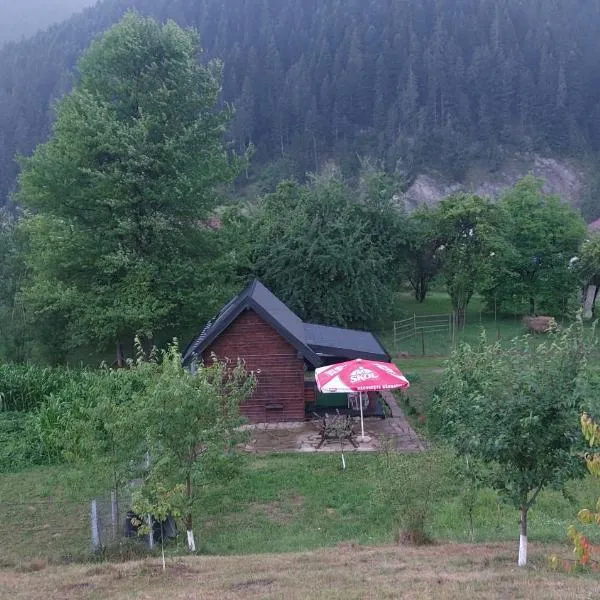 Tiny house Casa Axa, hotel v destinaci Pîrîu Cîrjei