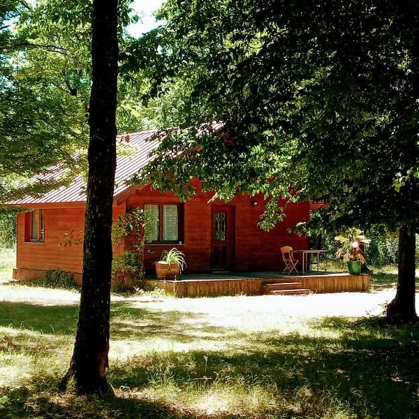 Chalet en forêt, brame du cerf, Hotel in Valpuiseaux