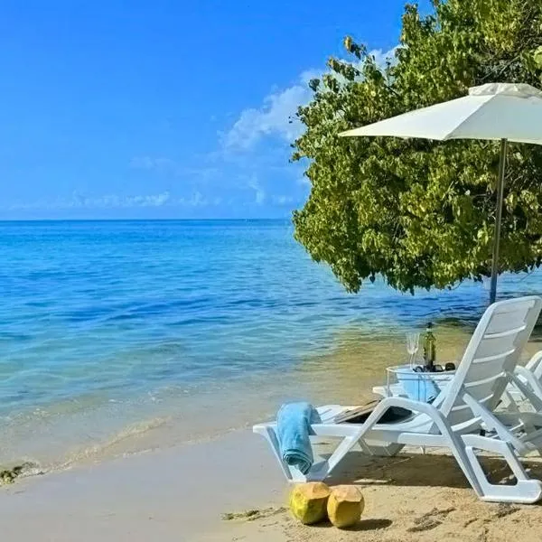 Champagne Villa、Whitehouseのホテル