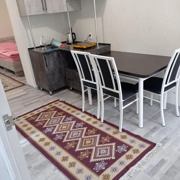 Pamko, hotell i Naryn