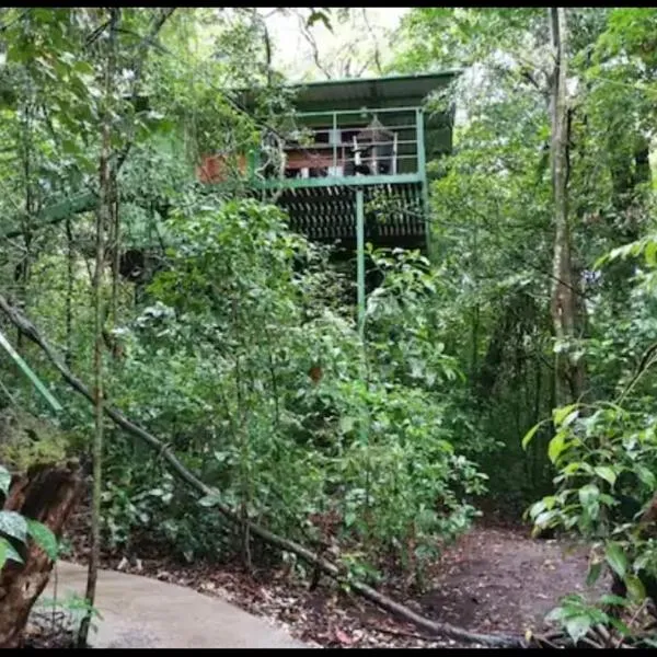 Jungle Living Tree Houses, hotel in Monteverde Costa Rica