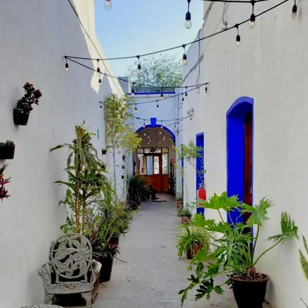 Ikali Hostel,位于蒙特雷的酒店