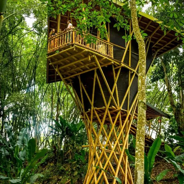 Eco Hotel Hacienda El Diamante, khách sạn ở Buga