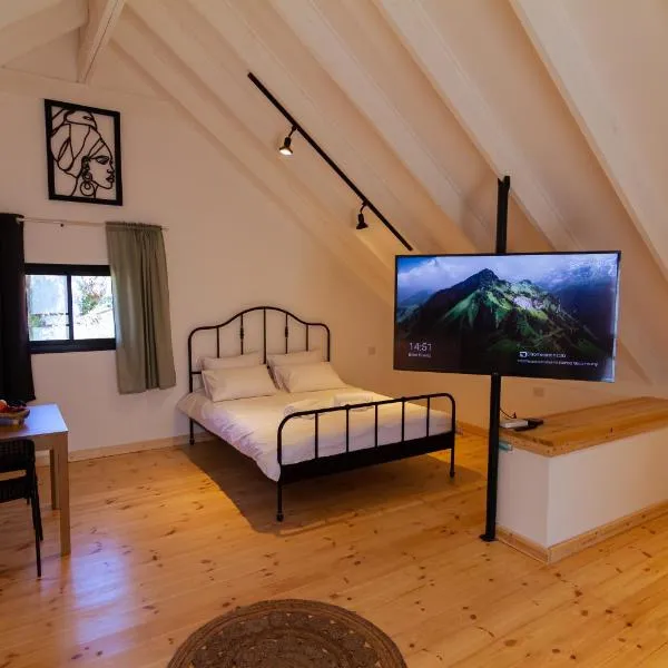 מול ההר, hotel v destinaci Ejn Zivan