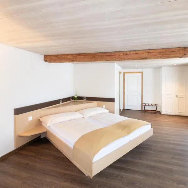 Hotel zum goldenen Kreuz, hôtel à Frauenfeld