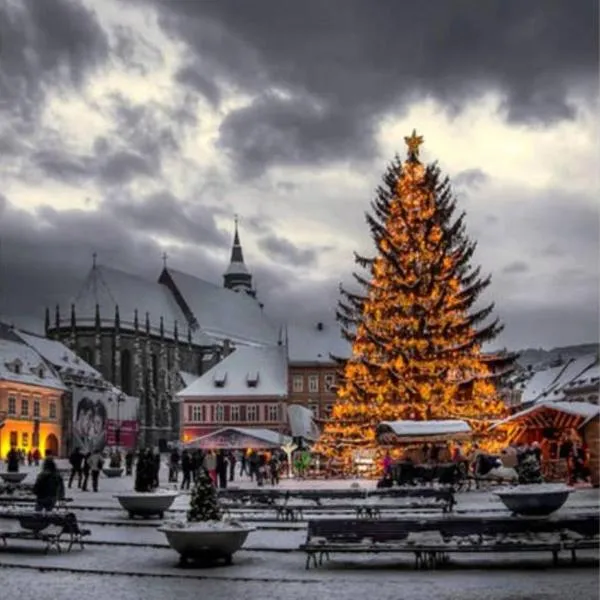 Vintage Downtown Hostel, hotel in Braşov