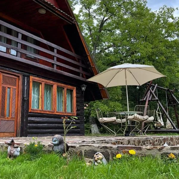 Cabana Paulina, hotel em Chişcău