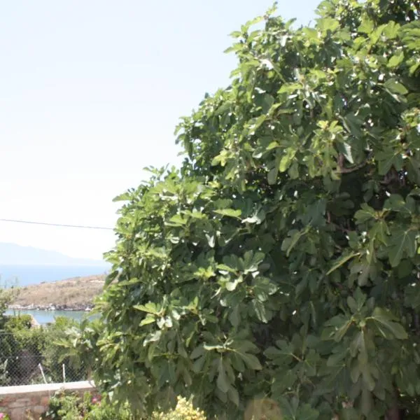 Condo Rentals, hotell sihtkohas Sarandë