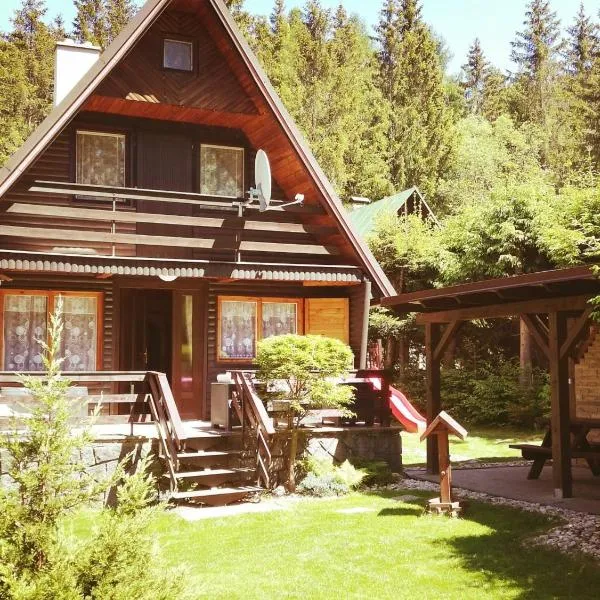 Chata Vysočina, hotel in Svratouch