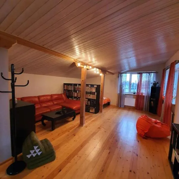 Studio apartment and FREE airport transfer, hotel in Rīga